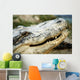 Alligator Wall Mural