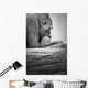 Gorilla Resting Wall Mural
