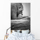 Gorilla Resting Wall Mural