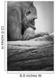 Gorilla Resting Wall Mural