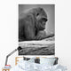 Gorilla Portrait Wall Mural