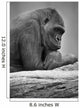 Gorilla Portrait Wall Mural