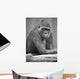 Monkey Wall Mural