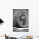 Monkey Wall Mural