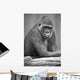 Monkey Wall Mural