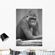 Monkey Wall Mural