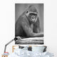 Monkey Wall Mural