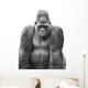Gorilla Wall Mural