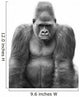 Gorilla Wall Mural