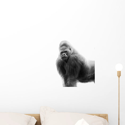 Black And White Portrait Of A Gorilla Wall Decal