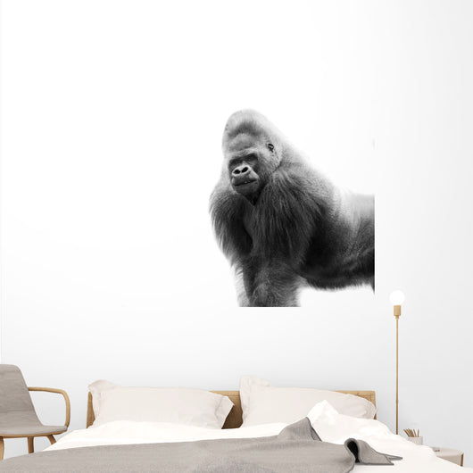 Black And White Portrait Of A Gorilla Wall Decal