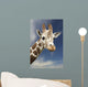 Portrait Of A Single Giraffe Wall Mural
