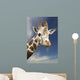 Portrait Of A Single Giraffe Wall Mural