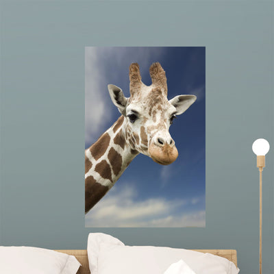 Portrait Single Giraffe Wall Mural shown on a wall