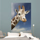 Portrait Of A Single Giraffe Wall Mural
