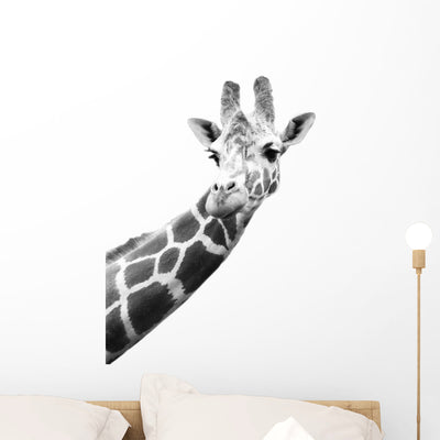 Black and White Portrait Wall Decal shown on a wall