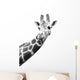 Black And White Portrait Of A Giraffe Wall Decal