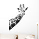 Black And White Portrait Of A Giraffe Wall Decal