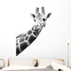 Black And White Portrait Of A Giraffe Wall Decal