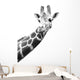 Black And White Portrait Of A Giraffe Wall Decal