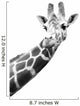 Black And White Portrait Of A Giraffe Wall Decal