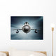 MiG-21 supersonic jet fighter aircraft Wall Mural
