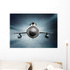 MiG-21 supersonic jet fighter aircraft Wall Mural