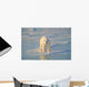 Polar Bear On Ice Wall Mural