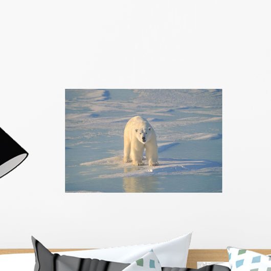Polar Bear On Ice Wall Mural