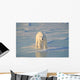 Polar Bear On Ice Wall Mural