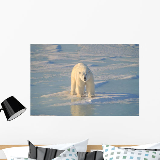Polar Bear On Ice Wall Mural