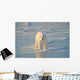 Polar Bear On Ice Wall Mural