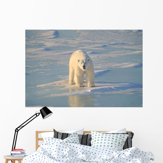 Polar Bear On Ice Wall Mural