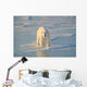 Polar Bear On Ice Wall Mural