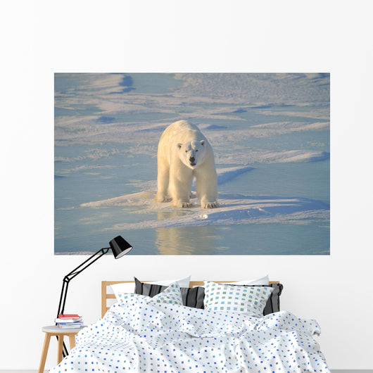 Polar Bear On Ice Wall Mural
