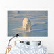 Polar Bear On Ice Wall Mural