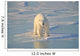 Polar Bear On Ice Wall Mural