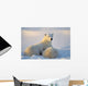 Polar Bear With Nursing Cub Wall Mural