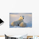 Polar Bear With Nursing Cub Wall Mural