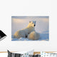 Polar Bear With Nursing Cub Wall Mural