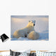 Polar Bear With Nursing Cub Wall Mural