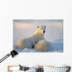 Polar Bear With Nursing Cub Wall Mural