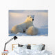 Polar Bear With Nursing Cub Wall Mural