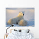 Polar Bear With Nursing Cub Wall Mural