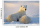 Polar Bear With Nursing Cub Wall Mural
