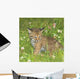 Bobcat Kitten Wall Mural