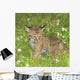 Bobcat Kitten Wall Mural