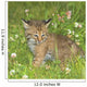 Bobcat Kitten Wall Mural