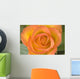 Hybrid Tea Rose Circus Wall Mural