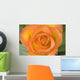 Hybrid Tea Rose Circus Wall Mural